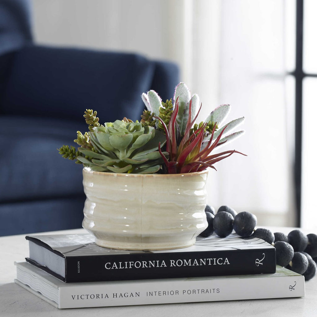 Mesa Succulent Accent - Bombay Mercantile