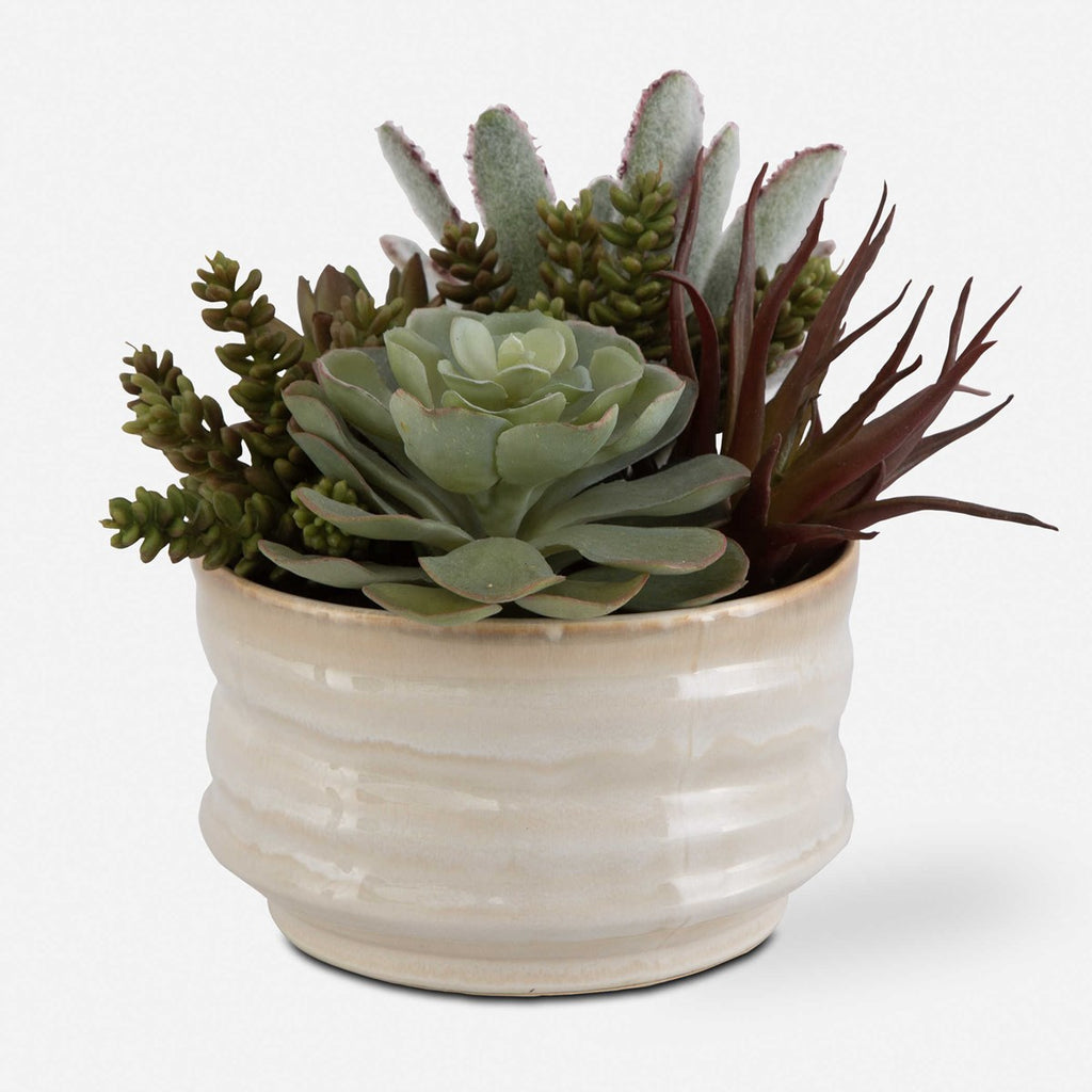 Mesa Succulent Accent - Bombay Mercantile
