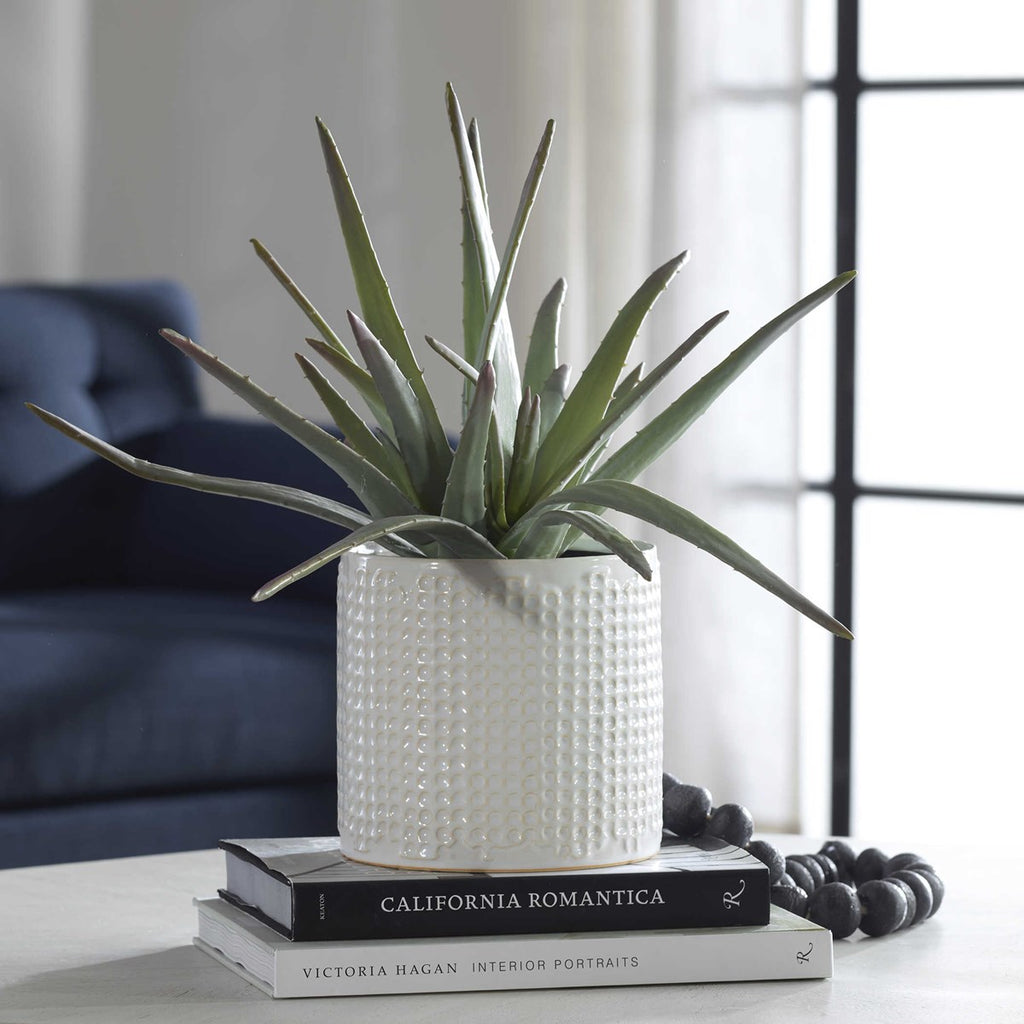 Taos Aloe Centerpiece - Bombay Mercantile