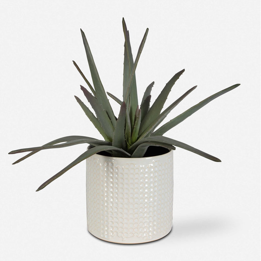 Taos Aloe Centerpiece - Bombay Mercantile