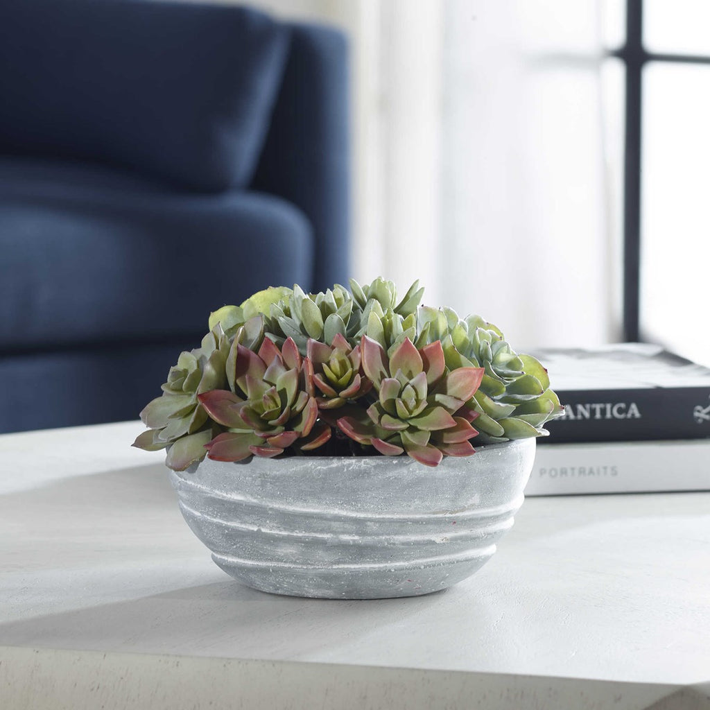 Peoria Succulent Accent - Bombay Mercantile