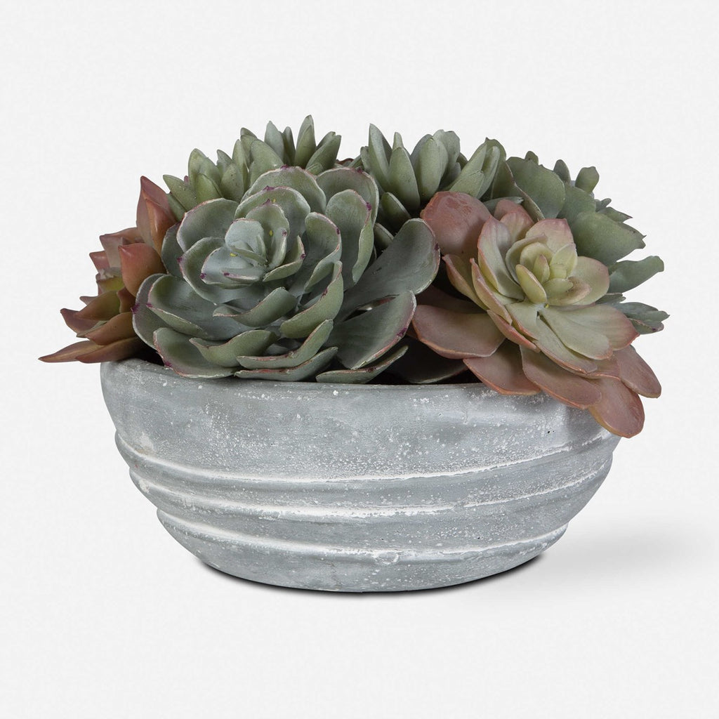 Peoria Succulent Accent - Bombay Mercantile