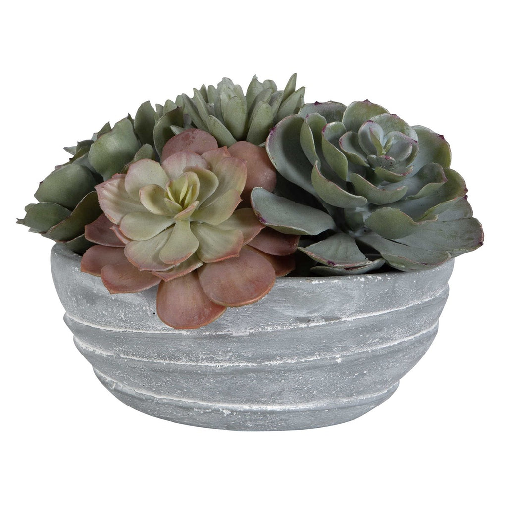 Peoria Succulent Accent - Bombay Mercantile
