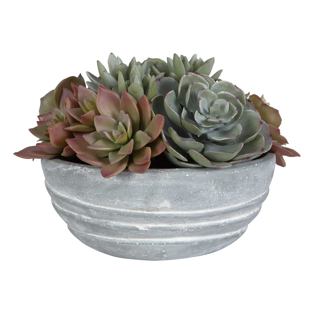 Peoria Succulent Accent - Bombay Mercantile