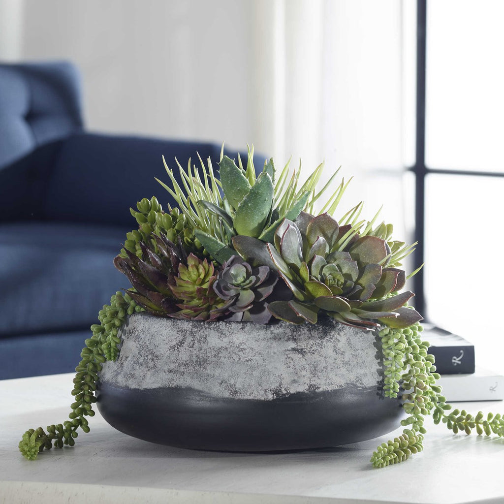 Yuma Succulent Centerpiece - Bombay Mercantile