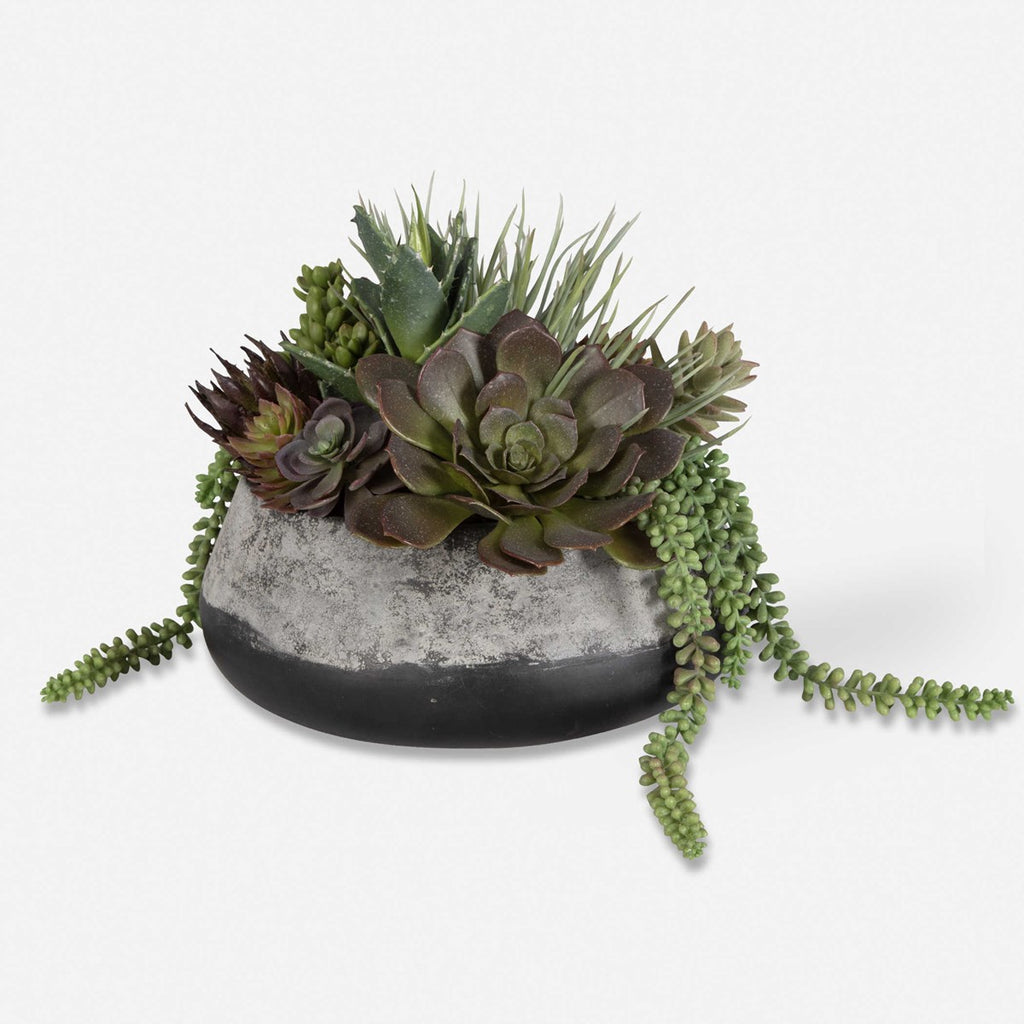 Yuma Succulent Centerpiece - Bombay Mercantile