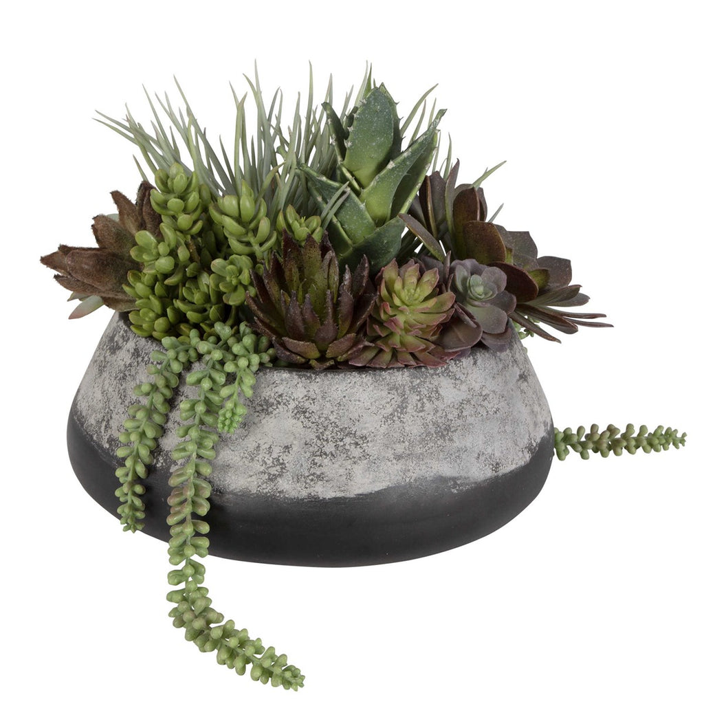 Yuma Succulent Centerpiece - Bombay Mercantile