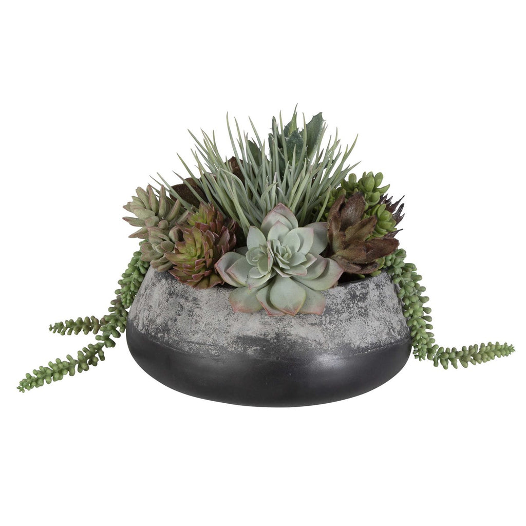 Yuma Succulent Centerpiece - Bombay Mercantile