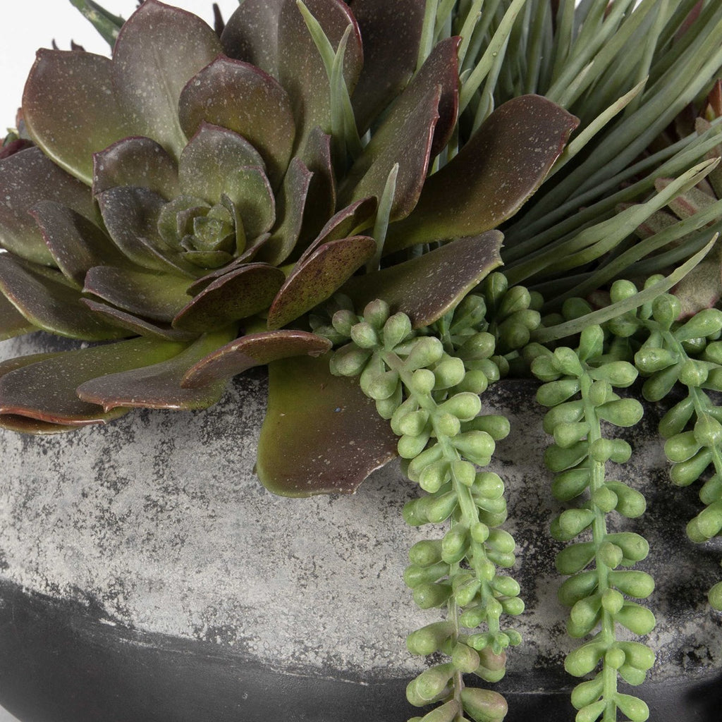 Yuma Succulent Centerpiece - Bombay Mercantile