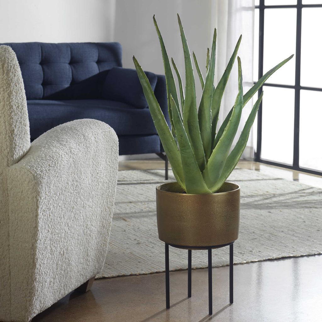 Arabia Aloe Planter, 2 cartons - Bombay Mercantile