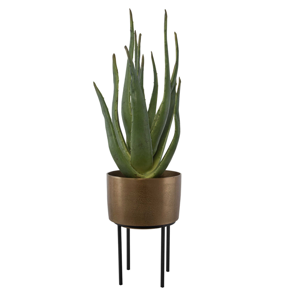Arabia Aloe Planter, 2 cartons - Bombay Mercantile