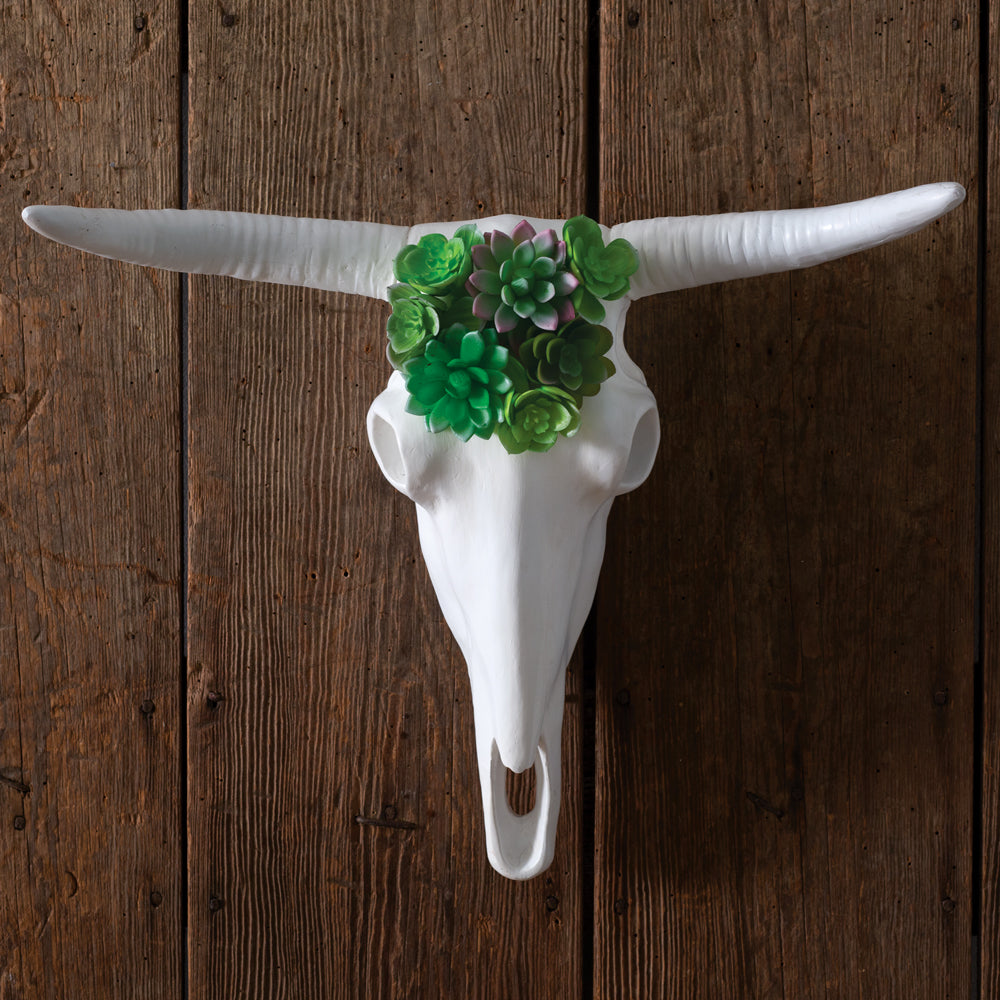 Longhorn Skull with Faux Succulents - Bombay Mercantile