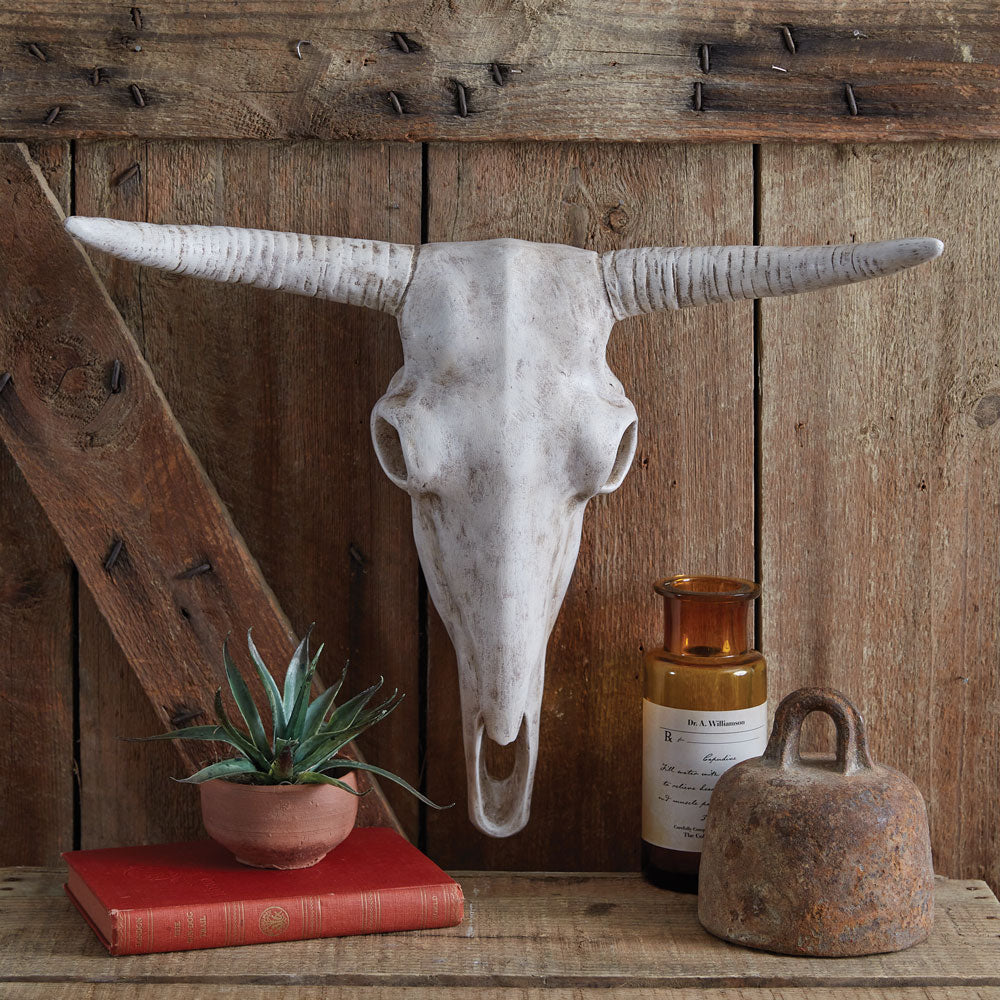 Longhorn Resin Skull - Bombay Mercantile