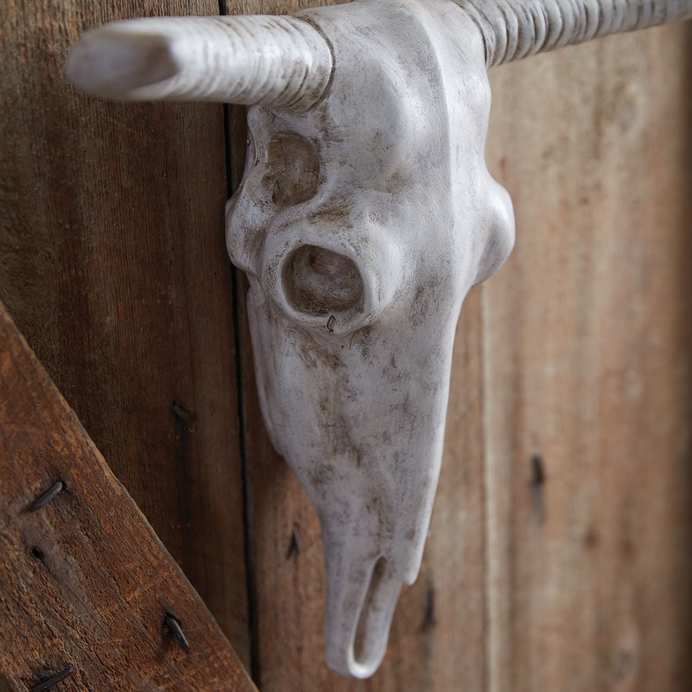 Longhorn Resin Skull - Bombay Mercantile