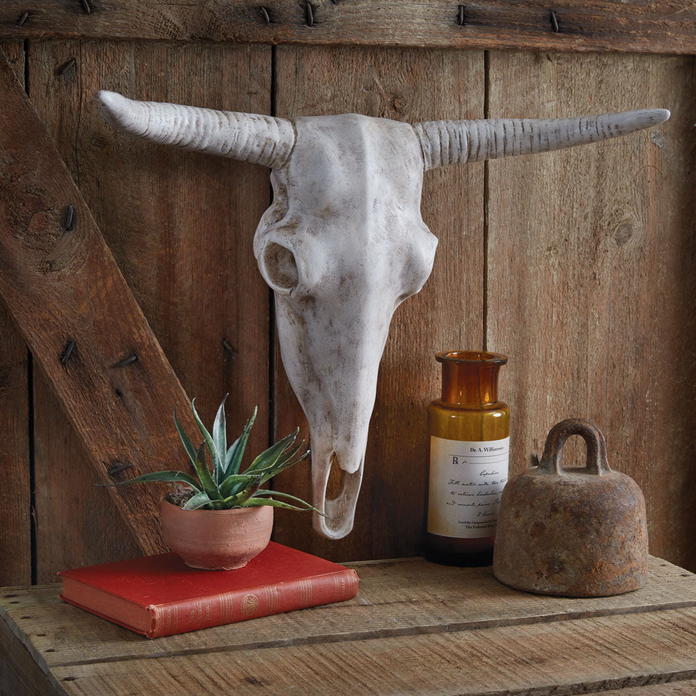 Longhorn Resin Skull - Bombay Mercantile