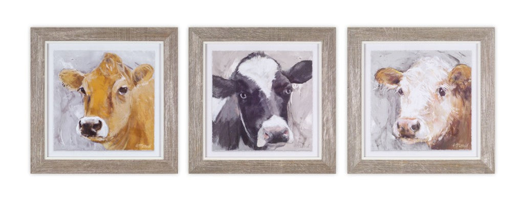 Set of 3, Framed Cow Print - Bombay Mercantile
