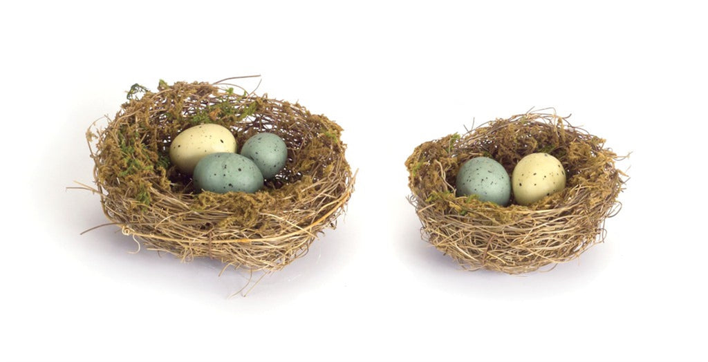 Set of 12 Nest With Eggs - Bombay Mercantile