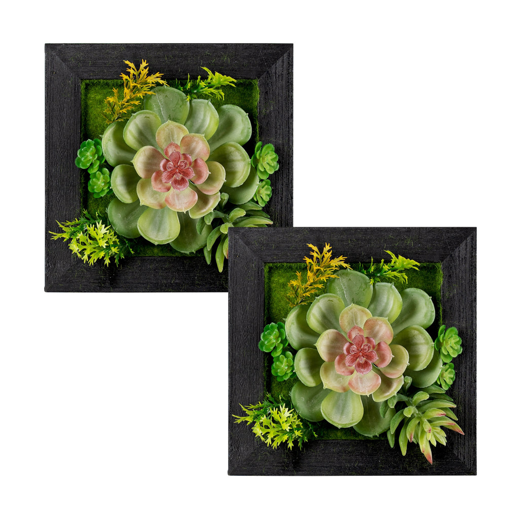 Set of 6 Plastic Wall décor Succulents - Bombay Mercantile