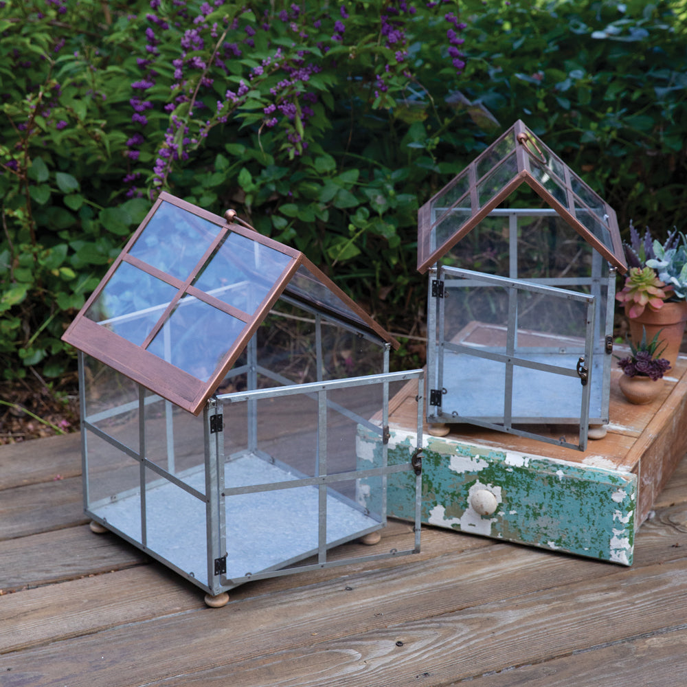 Set of Two Farmhouse Terrariums - Bombay Mercantile