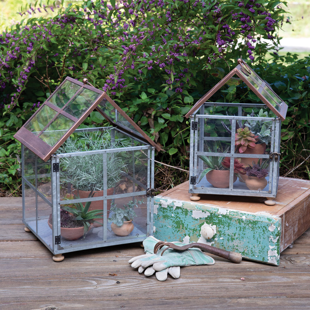 Set of Two Farmhouse Terrariums - Bombay Mercantile