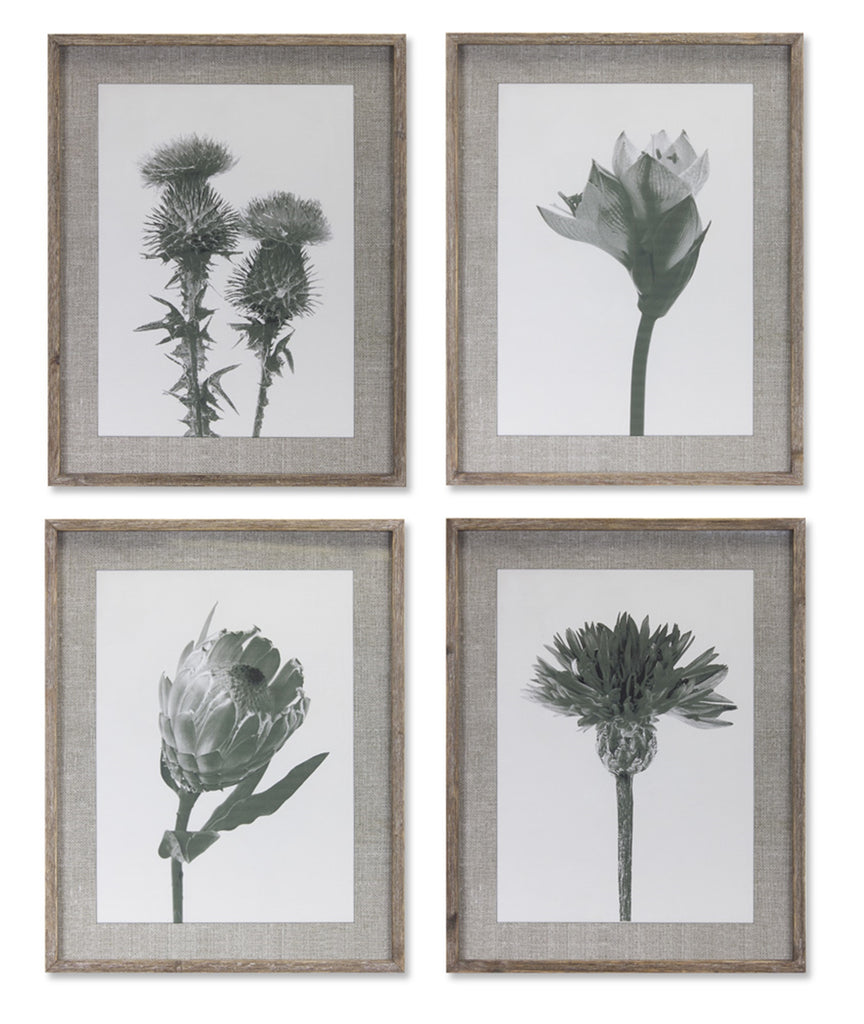 Set of 4 Black and White Floral Print - Bombay Mercantile