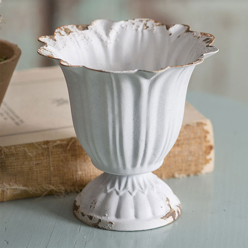 Small Scalloped Cup - Box of 4 - Bombay Mercantile