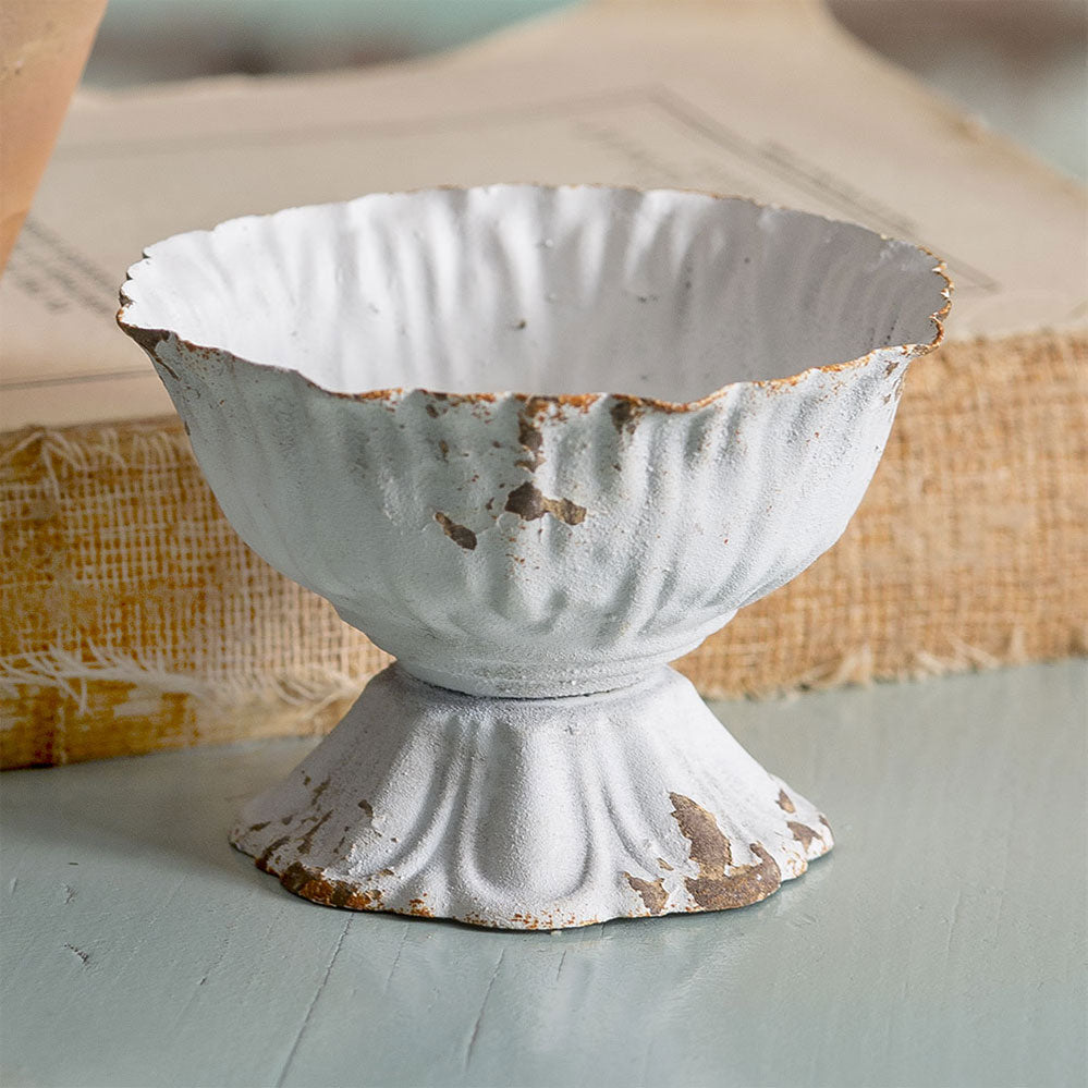 Mini Scalloped Cup - Box of 4 - Bombay Mercantile