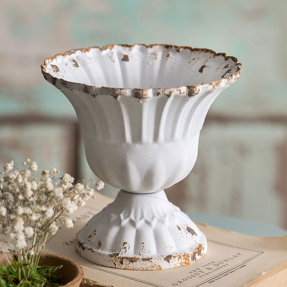 Medium Scalloped Cup - Box of 4 - Bombay Mercantile
