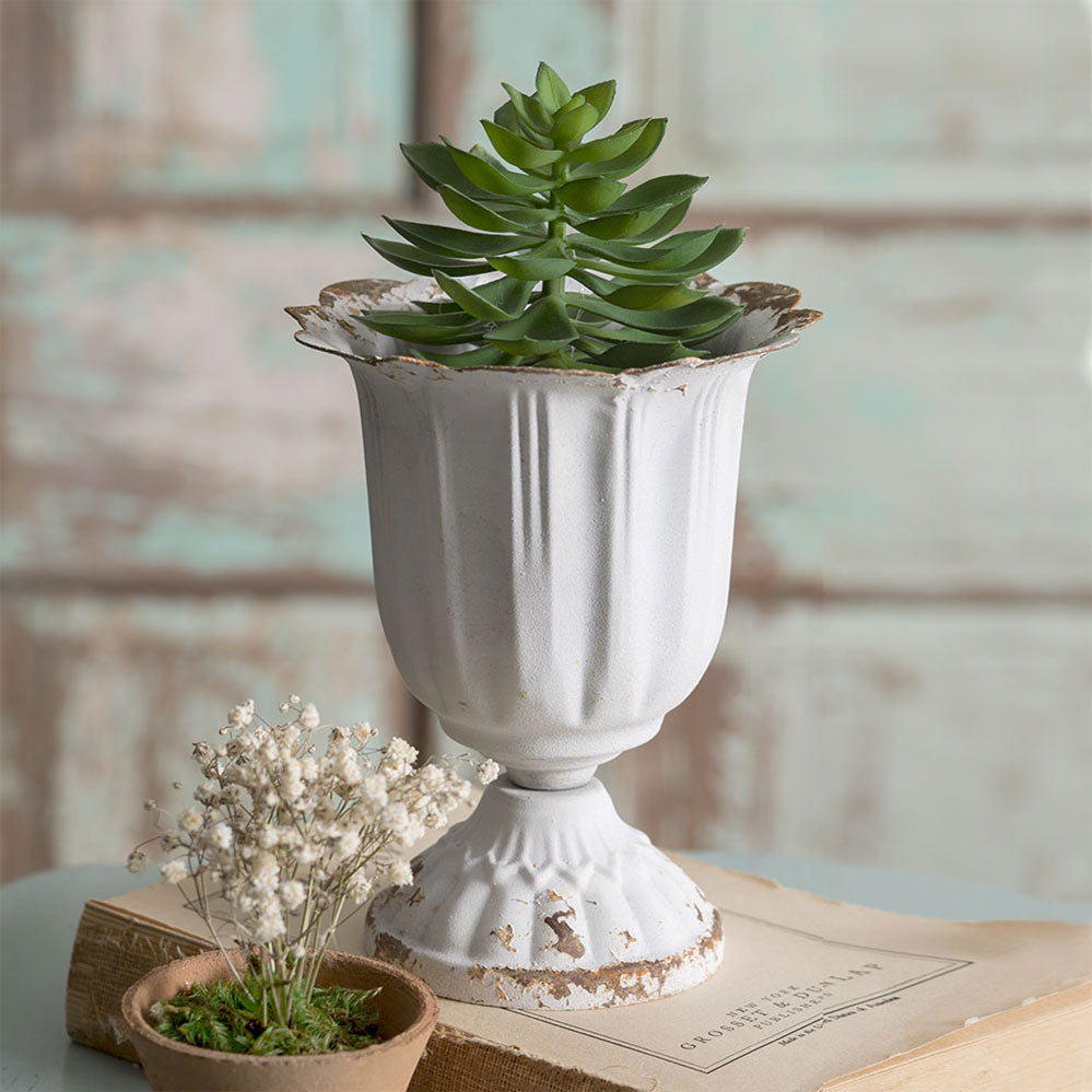 Tall Scalloped Cup - Box of 4 - Bombay Mercantile