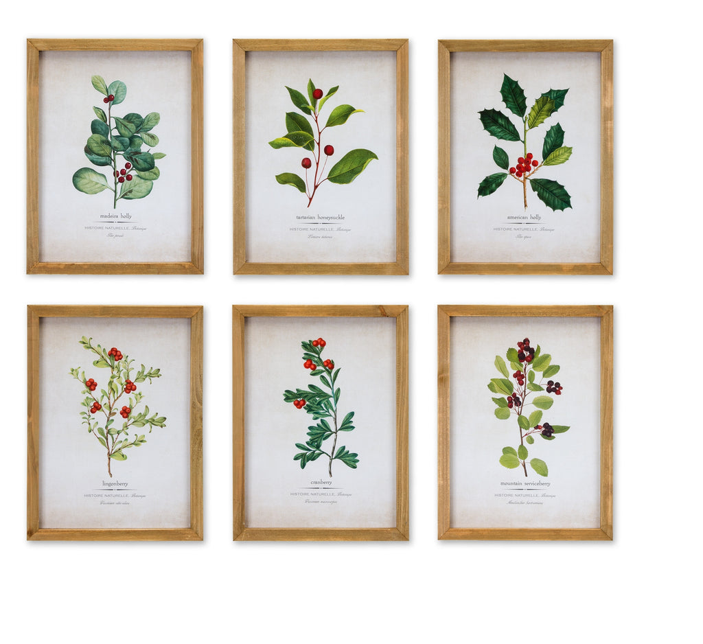 Framed Winter Foliage Set of 6 - Bombay Mercantile