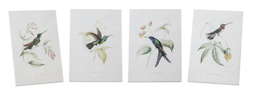 Set of 4 Humming Bird Print - Bombay Mercantile