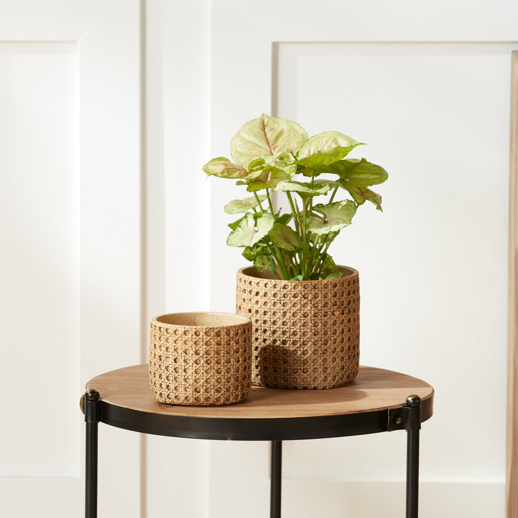 Rattan Texture Cement planter, Set of 2 - Bombay Mercantile