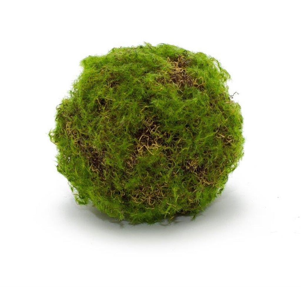 Set of 4 Moss Ball - Bombay Mercantile