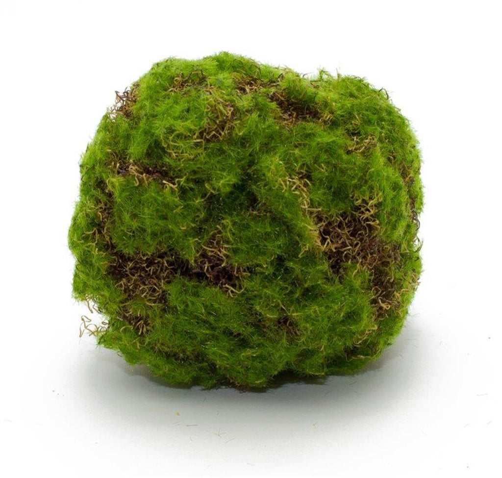 Set of 4 Moss Ball - Bombay Mercantile