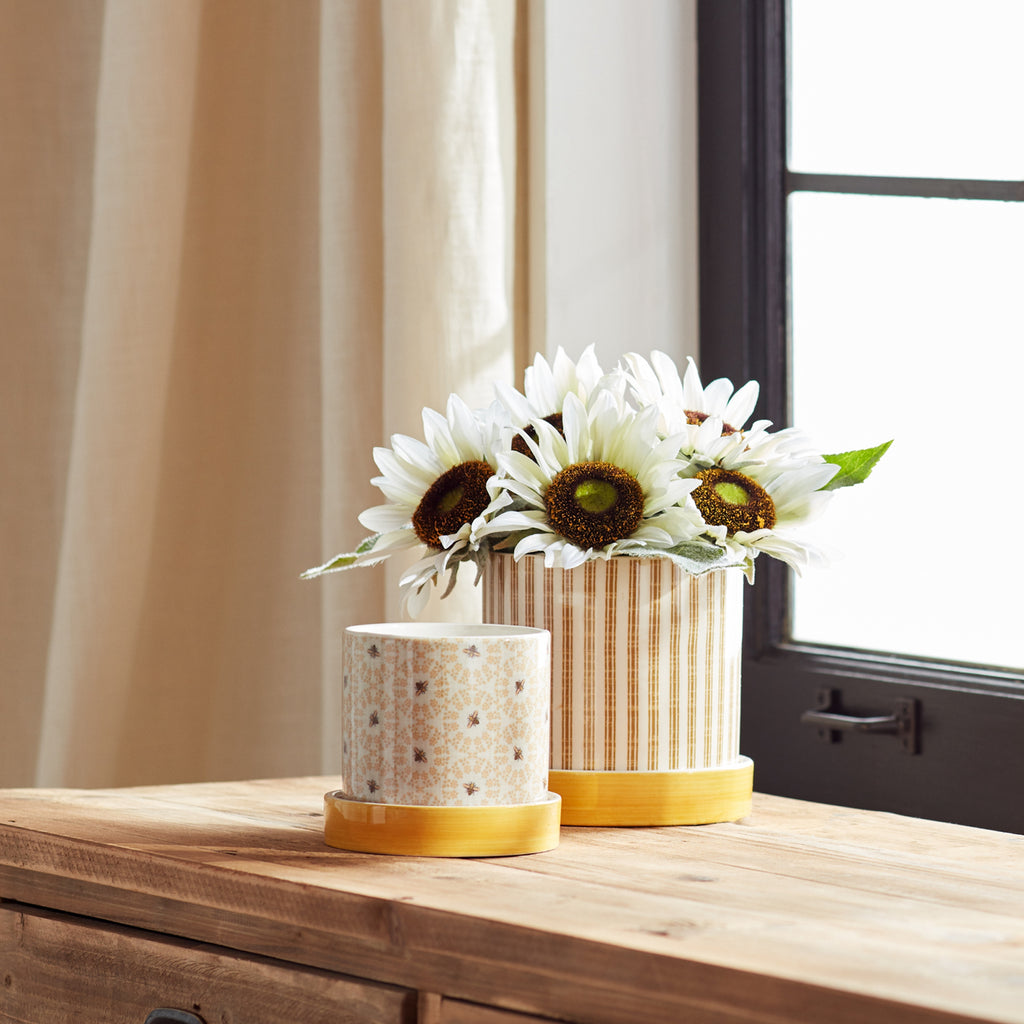Dolomite, Set of 2 Container Jar - Bombay Mercantile