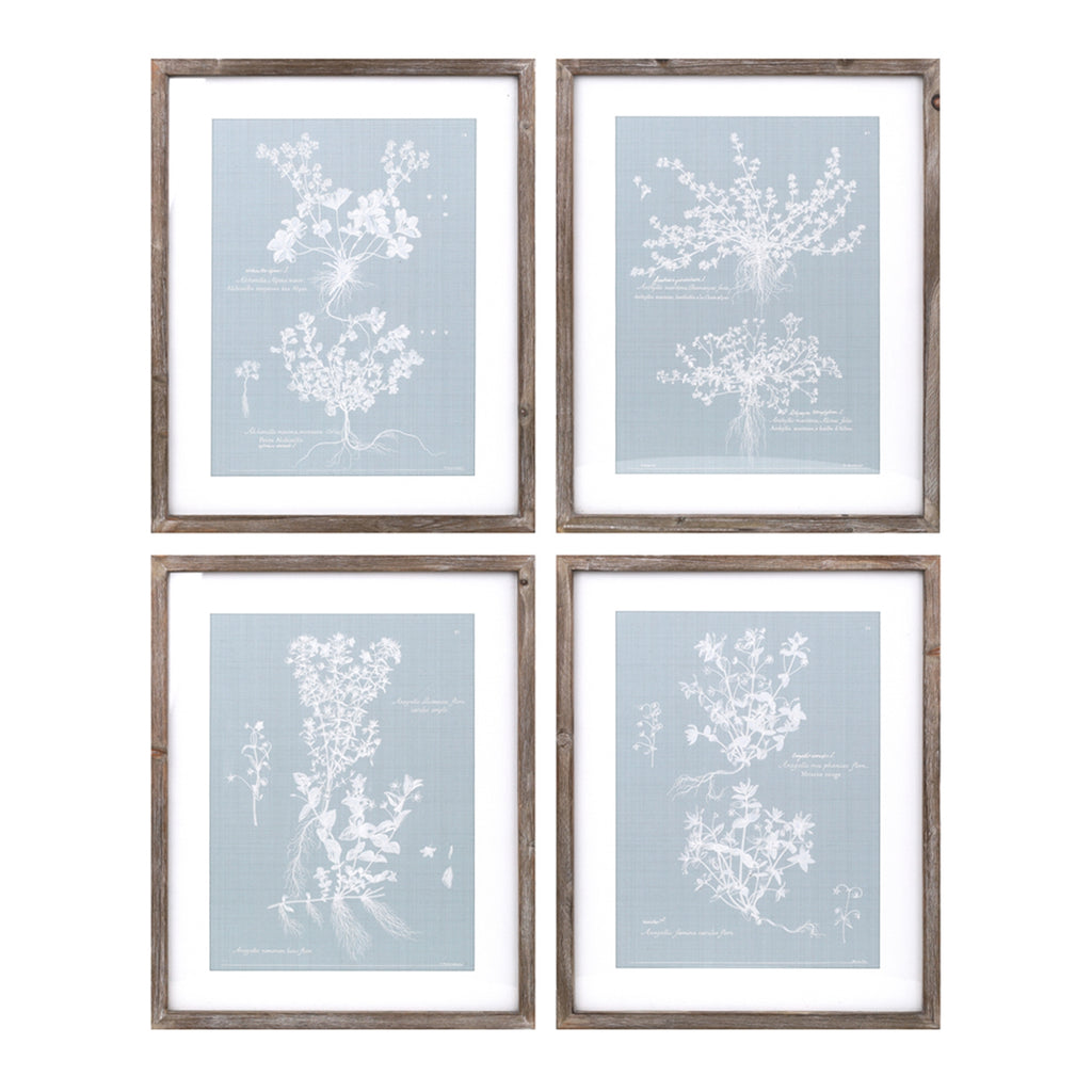 Floral  Prints, Set of 4 - Bombay Mercantile