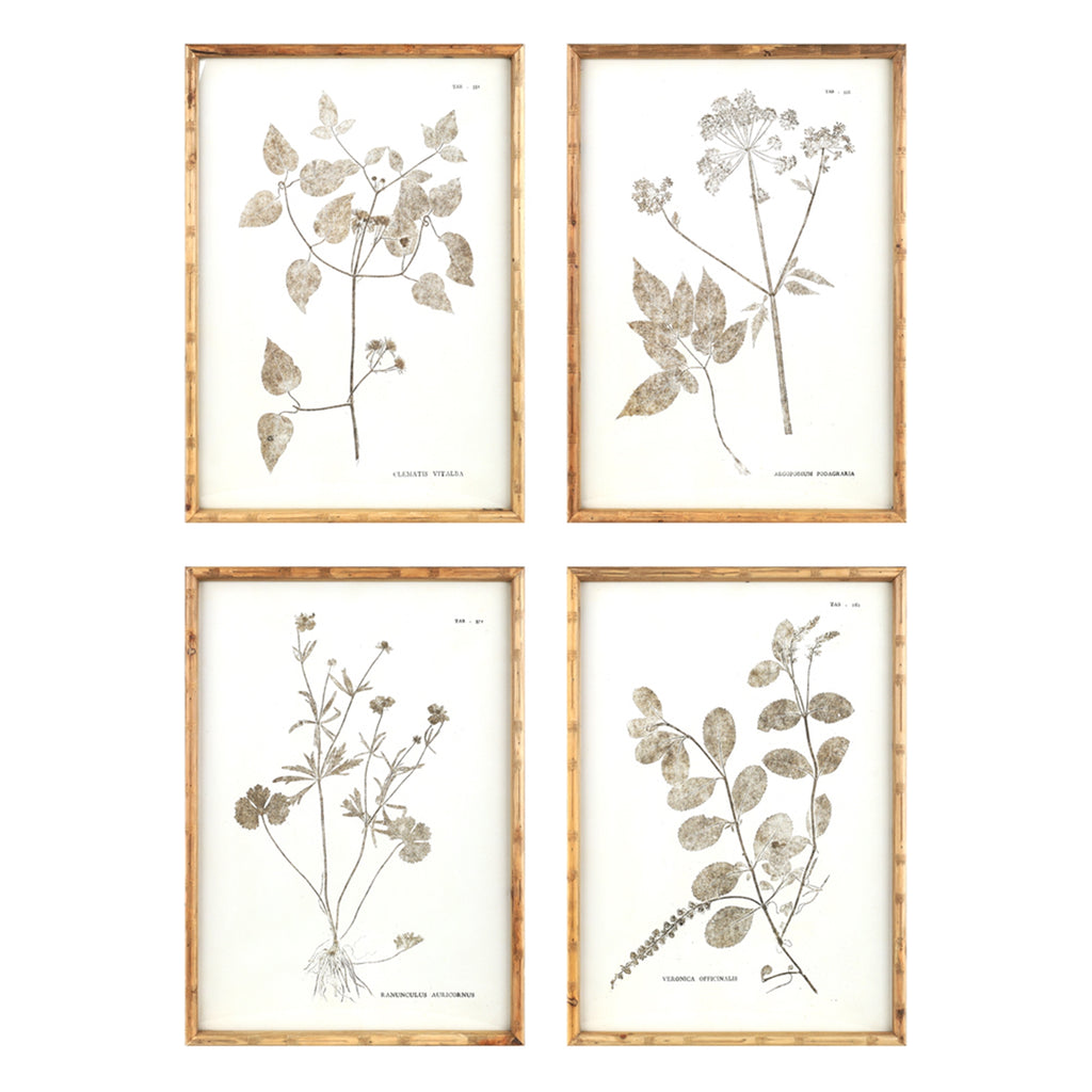 Set of 4 White Floral Prints - Bombay Mercantile
