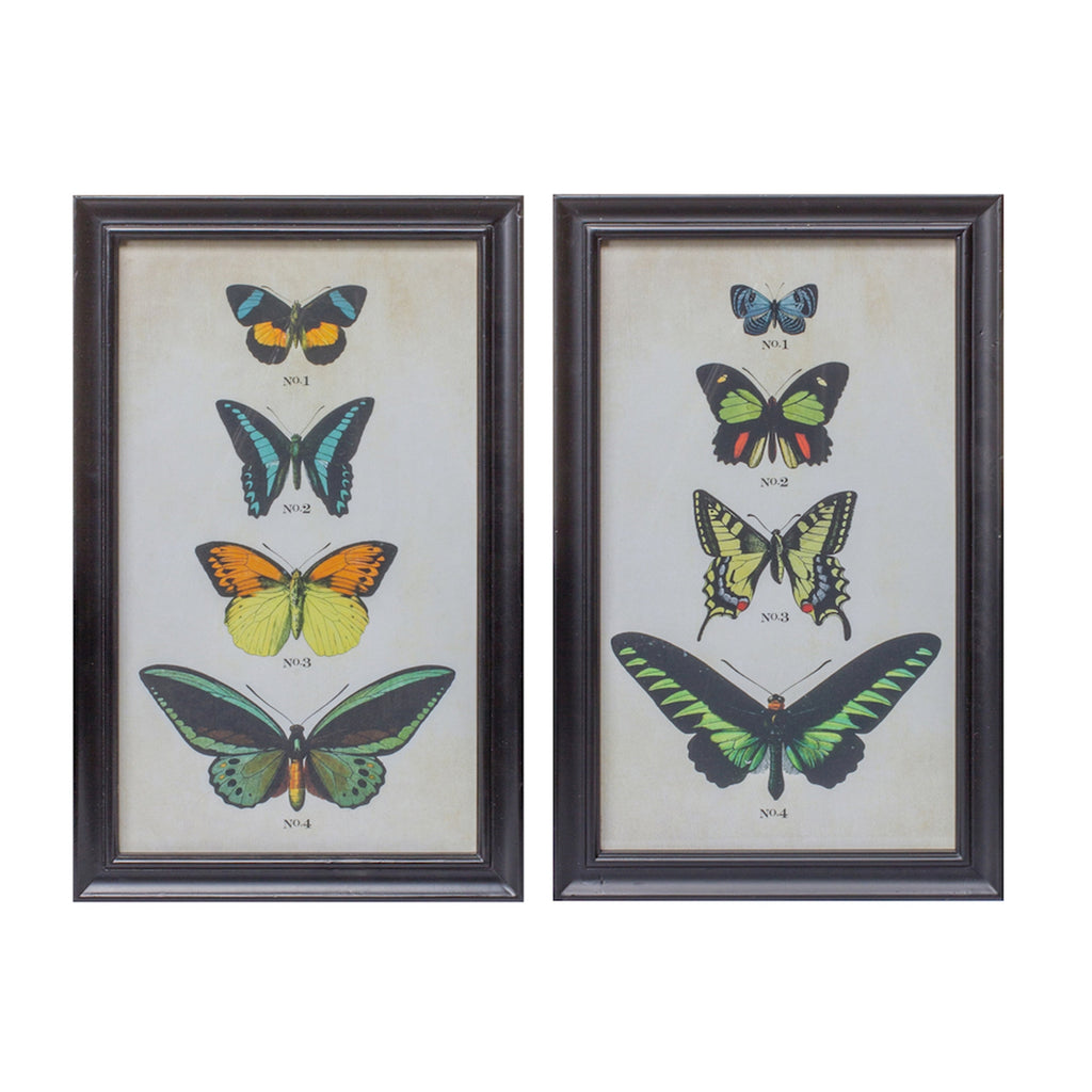 Set of 2, Framed Butterfly Print - Bombay Mercantile