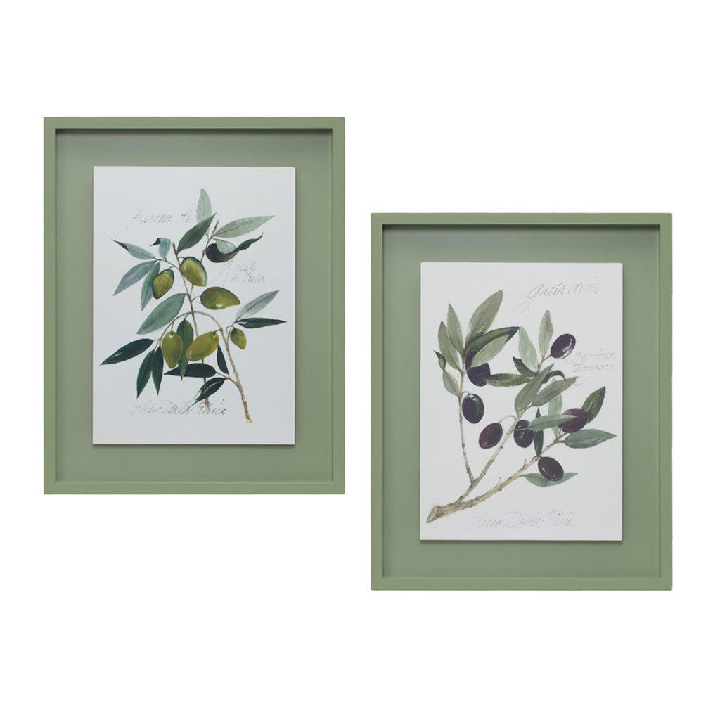 Framed Olive Print, Set of 2 - Bombay Mercantile