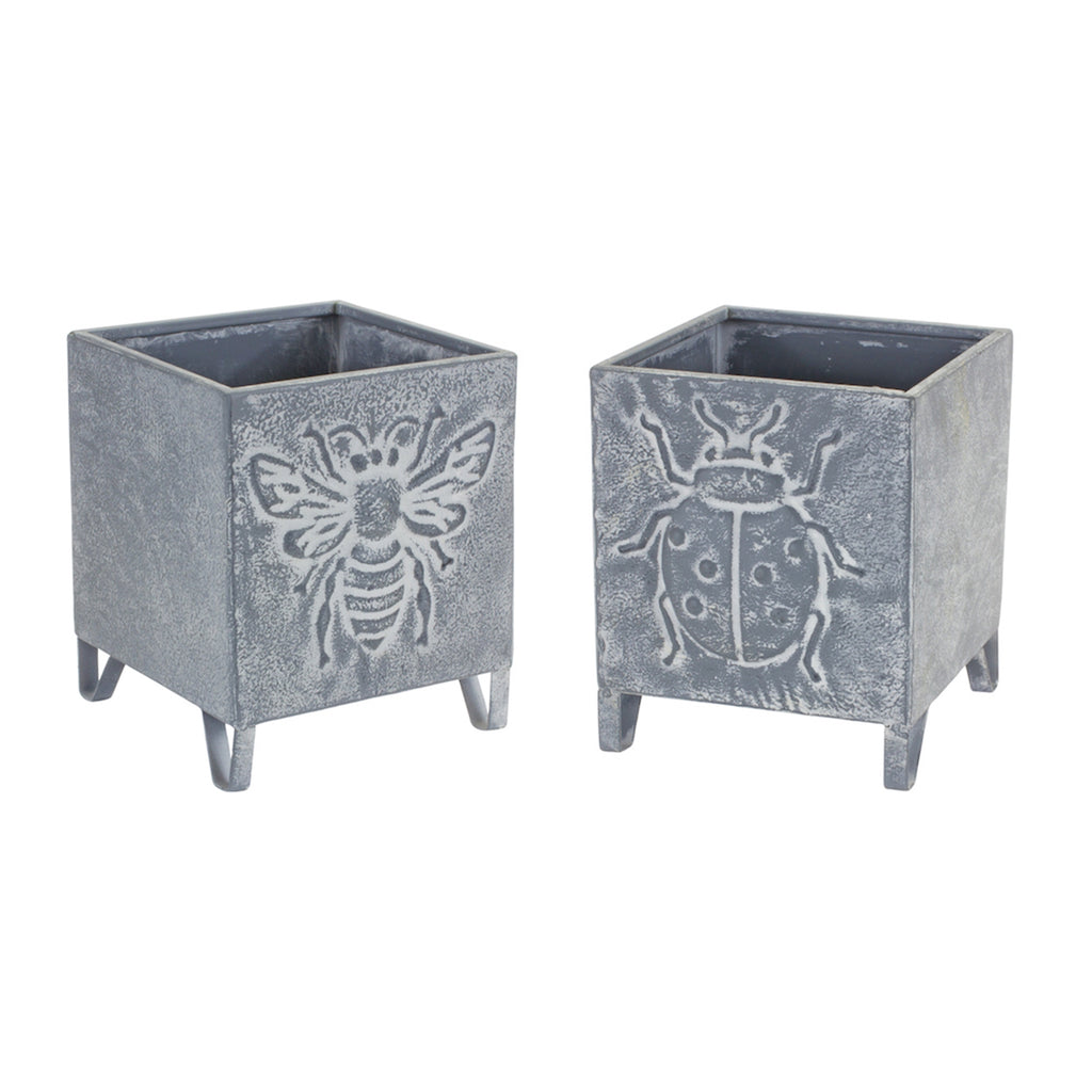 Set of 2, Insect Square Pots - Bombay Mercantile