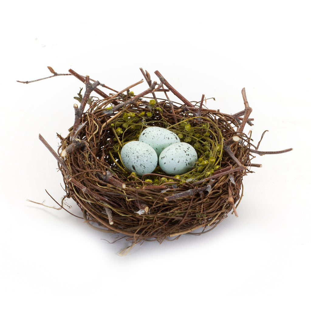 Set of 6, Nest With Eggs - Bombay Mercantile