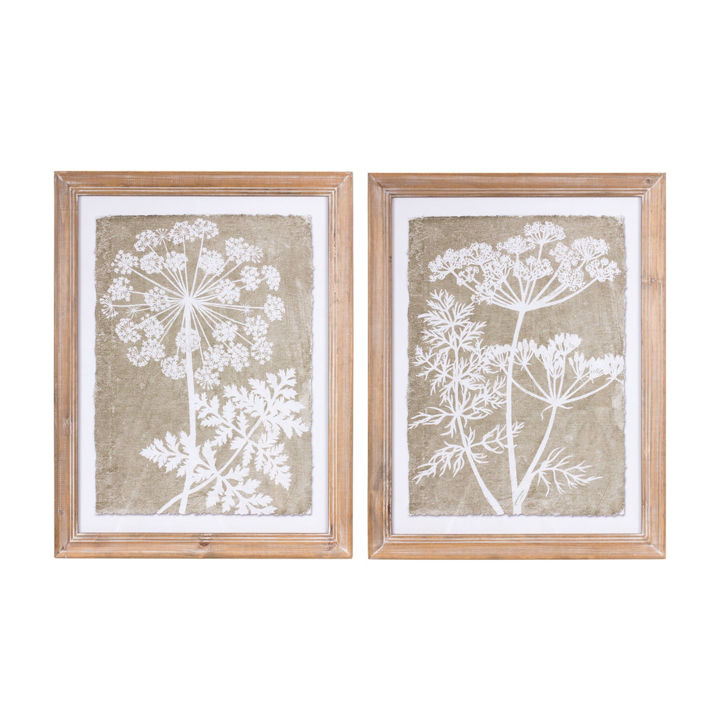 Set of 2 Floral Frame - Bombay Mercantile