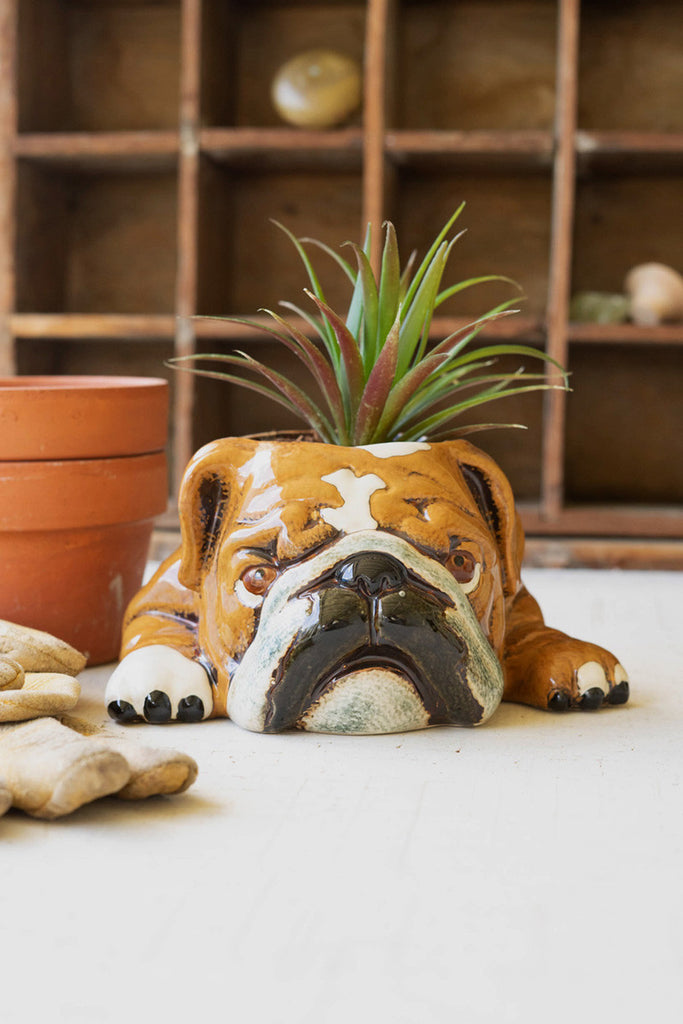 Ceramic Bulldog Planter, Set of 2 - Bombay Mercantile