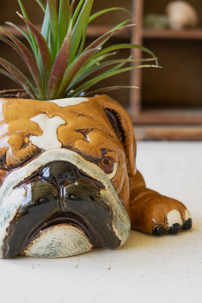 Ceramic Bulldog Planter, Set of 2 - Bombay Mercantile