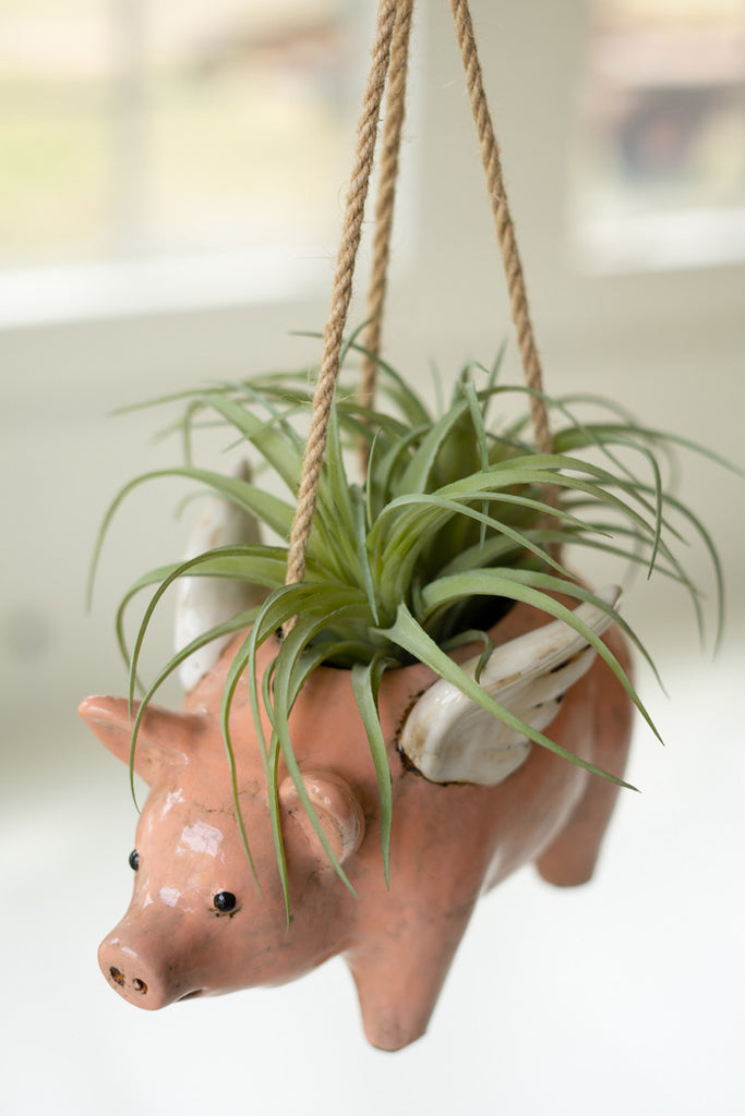 Ceramic Hanging Flying Pig Planter, Set of 2 - Bombay Mercantile