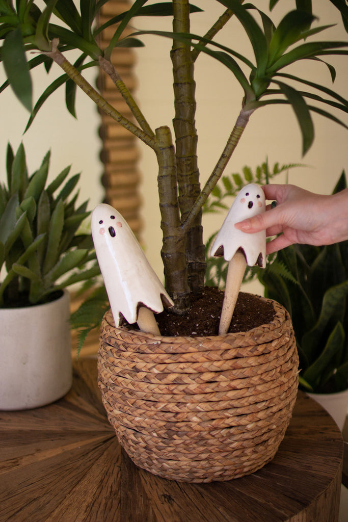 Set of 2 Ceramic Ghost Plant Sticks - Bombay Mercantile