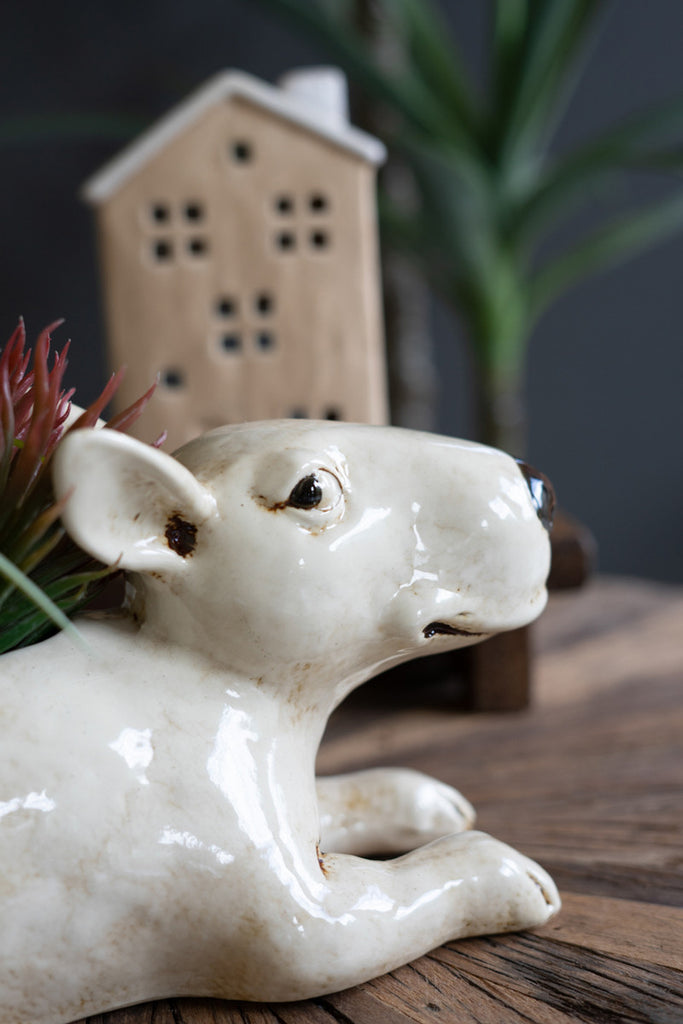 Ceramic Bull Terrier Planter - Bombay Mercantile