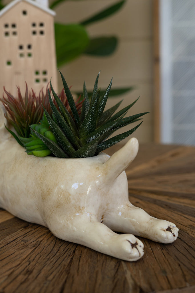 Ceramic Bull Terrier Planter - Bombay Mercantile