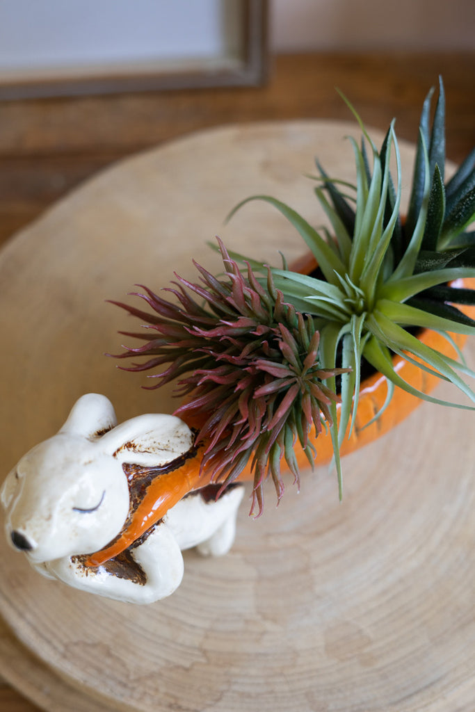 Ceramic Rabbit Pulling a Carrot Planter, Set of 2 - Bombay Mercantile