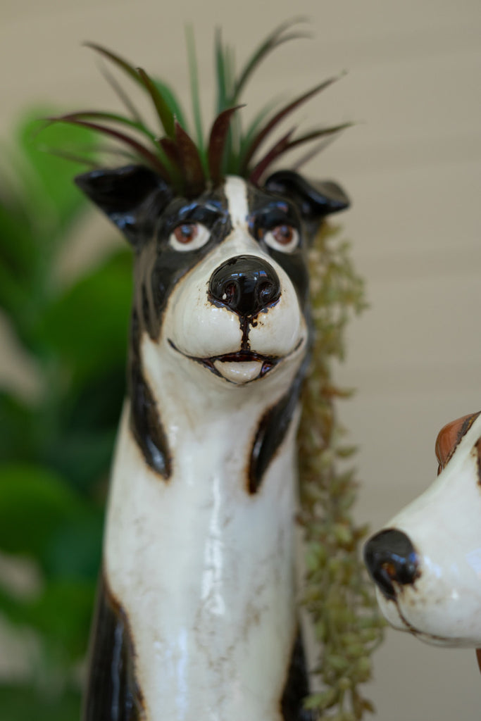 Set of 2 Ceramic Dog Planters - Bombay Mercantile